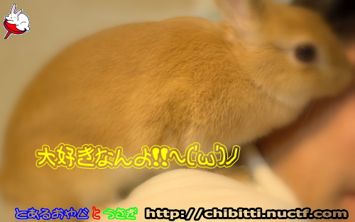 画像クリックで拡大します