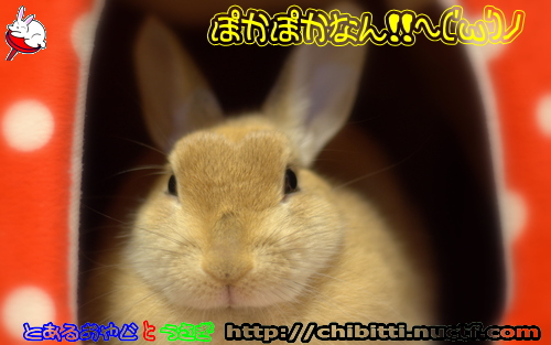 画像クリックで拡大します
