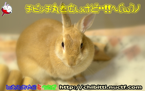 画像クリックで拡大します