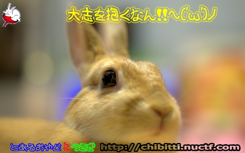 画像クリックで拡大します