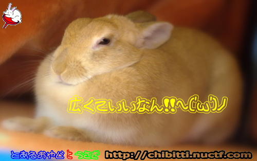 画像クリックで拡大します