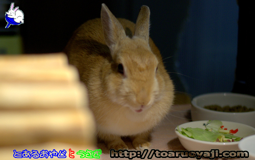 画像クリックで拡大します